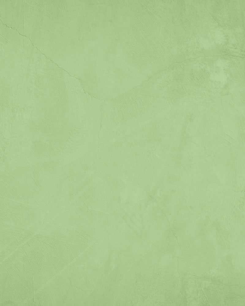 Green textured background panel.